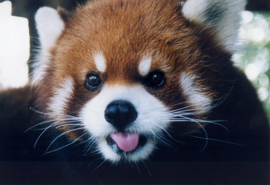 031223taro.jpg