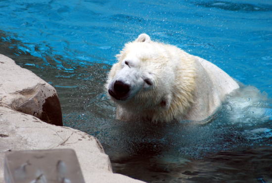 20070716miyuki1.jpg