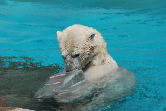 20070716miyuki3.jpg