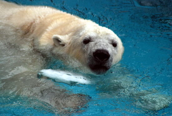 20070716miyuki4.jpg
