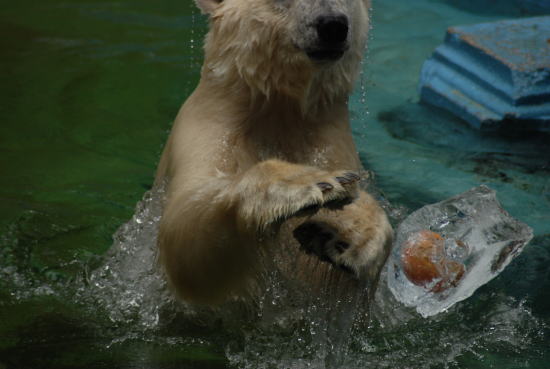 20070722gogo23.jpg