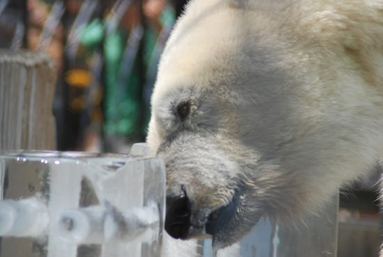 20070729paul1.jpg