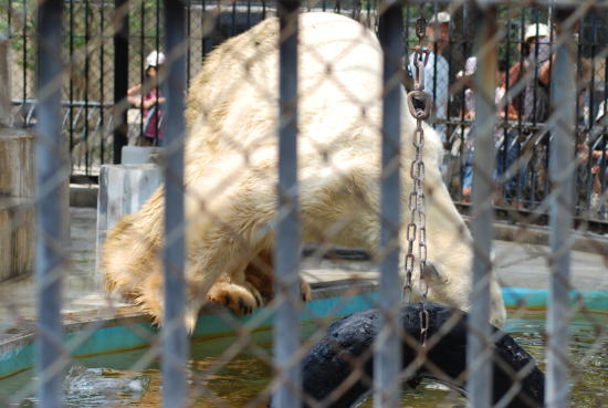20070729paul2.jpg