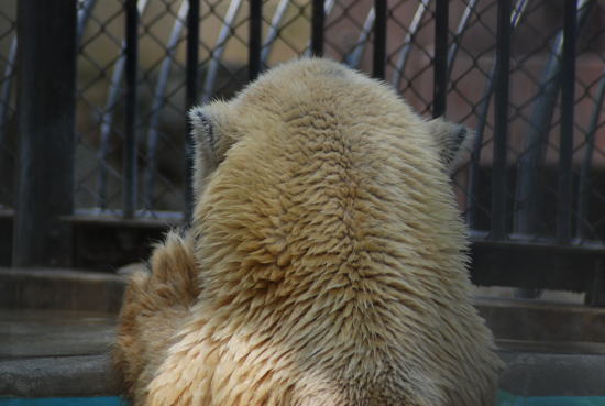 20070729paul5.jpg