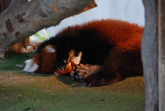 20090222taro1.jpg