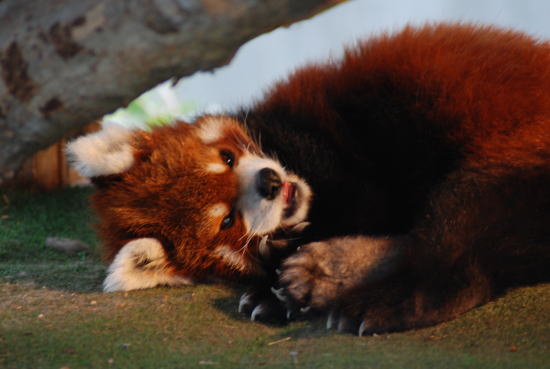 20090222taro3.jpg