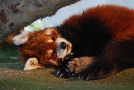 20090222taro4.jpg