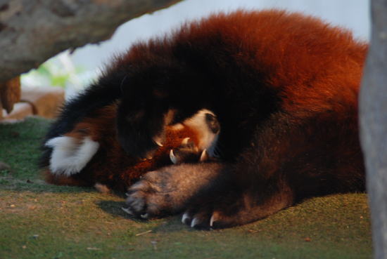 20090222taro5.jpg
