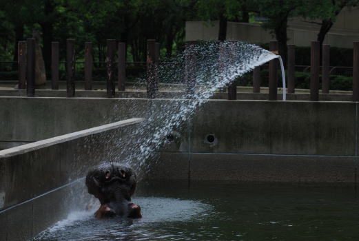 20090630hagu4.jpg