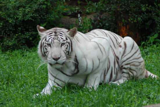 20090630omega5.jpg