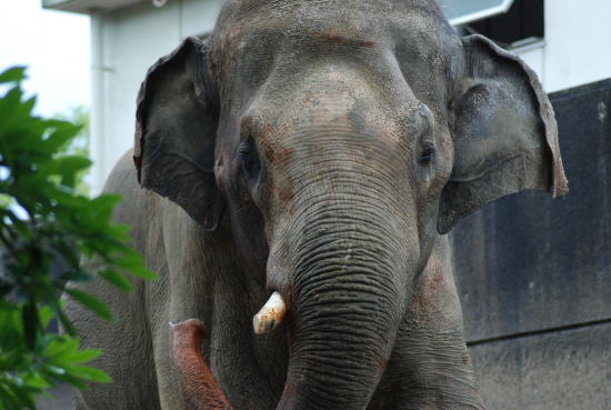 20090630taro01.jpg