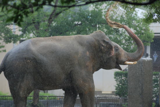 20090630taro04.jpg