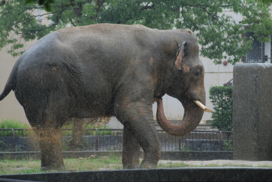 20090630taro06.jpg