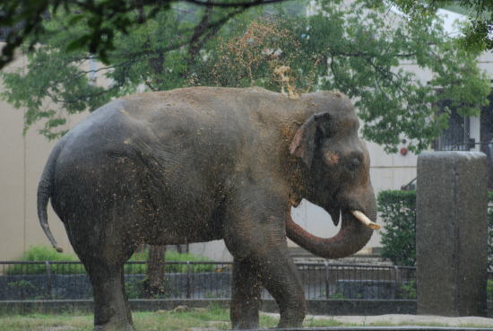 20090630taro08.jpg