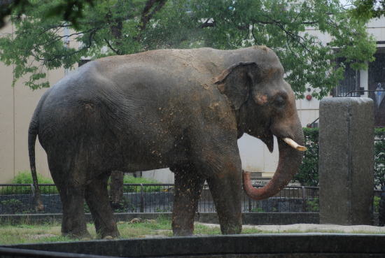 20090630taro10.jpg