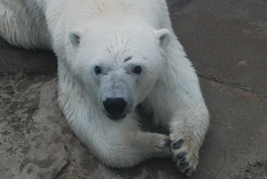 20090726miyuki01.jpg