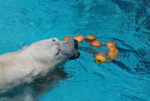 20090802miyuki04.jpg