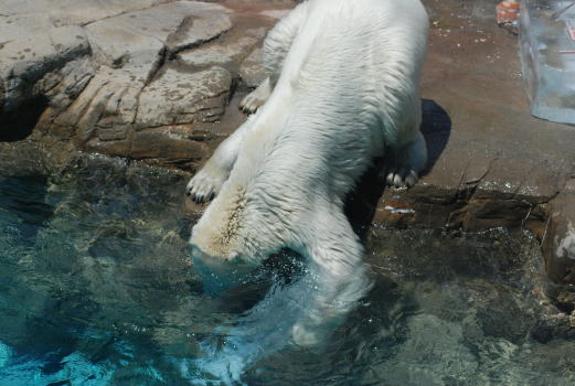 20090802miyuki23.jpg