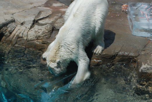 20090802miyuki24.jpg