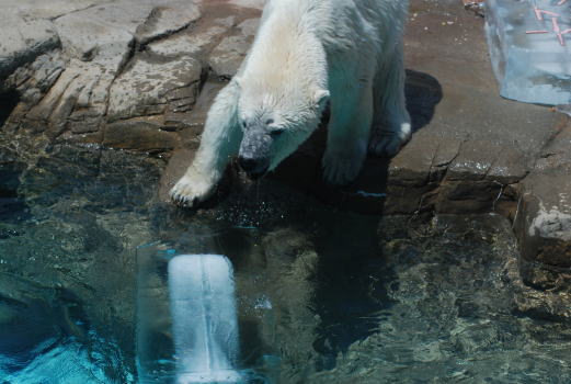 20090802miyuki25.jpg