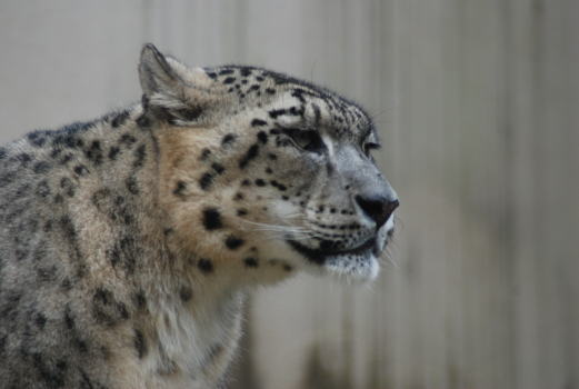 20090922tian1.jpg