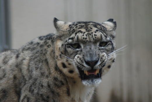 20090922tian2.jpg