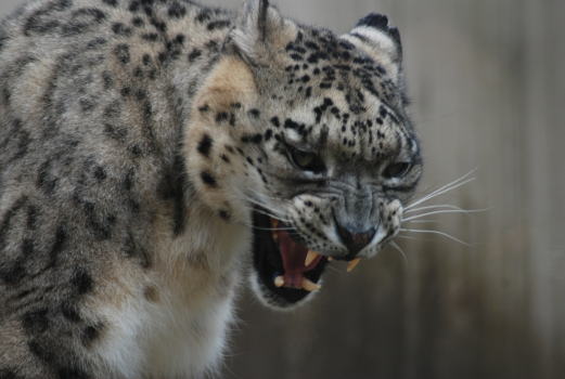 20090922tian3.jpg