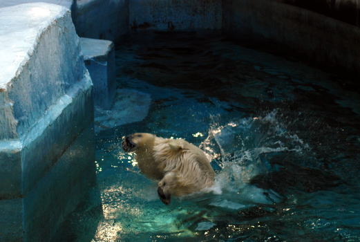 20090926gogo09.jpg