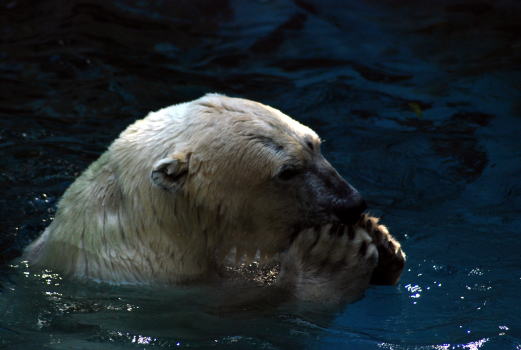 20090926gogo10.jpg