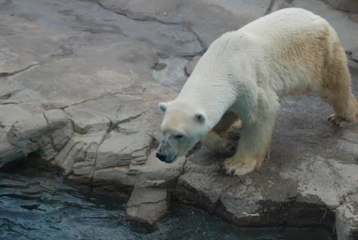 20090929aice04.jpg