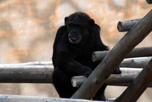 20090929yuki.jpg
