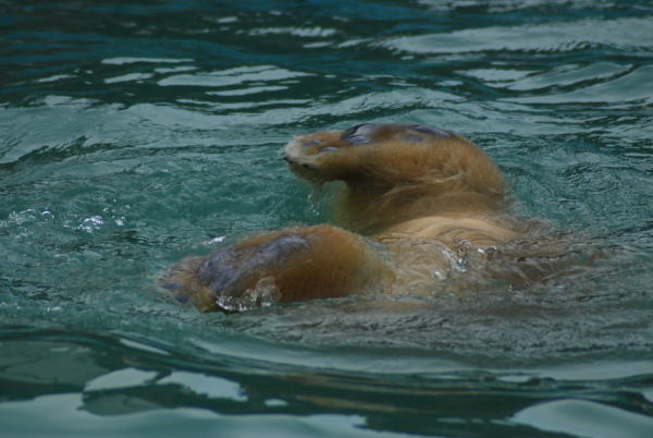 20091108chibi01.jpg