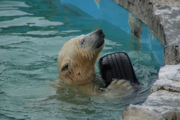 20091108chibi02.jpg