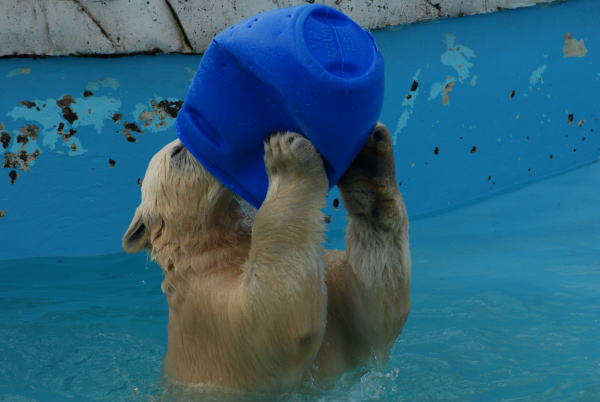 20091109chibi03.jpg