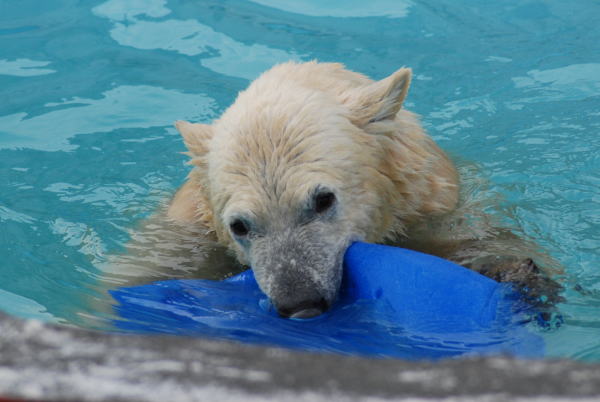 20091109chibi05.jpg