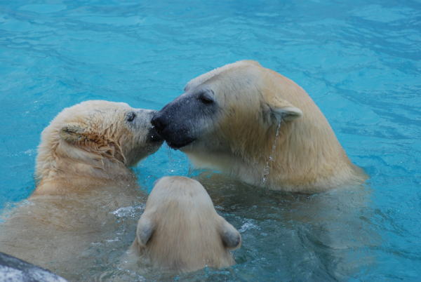 20091109family14.jpg