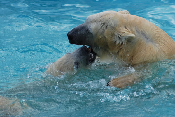 20091109family15.jpg