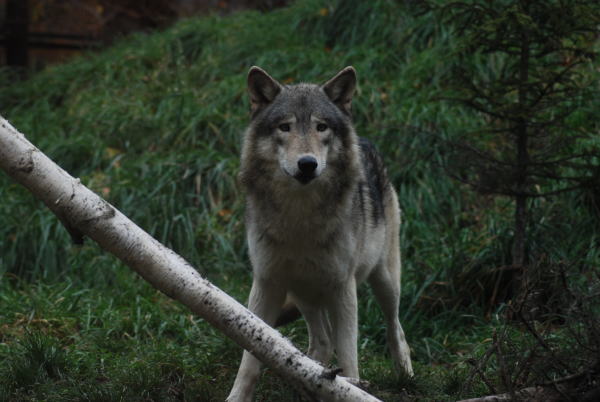 20091109j.jpg
