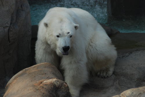 20100111miyuki1.jpg