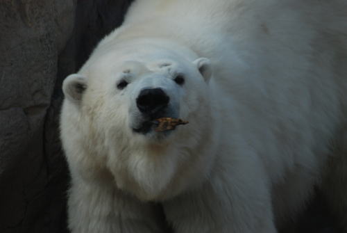 20100111miyuki2.jpg