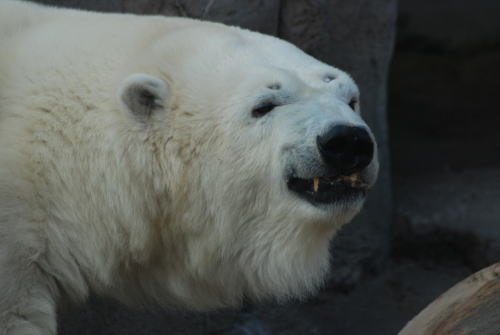 20100111miyuki3.jpg