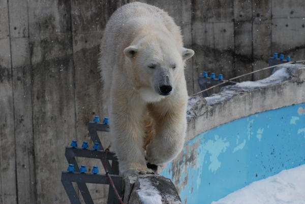 20100307rara.jpg