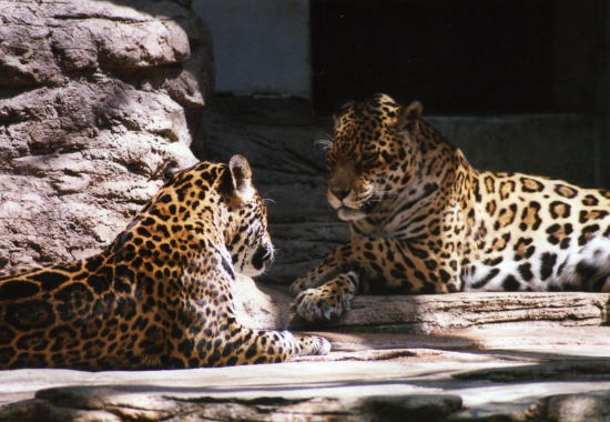 20070501jager006.jpg