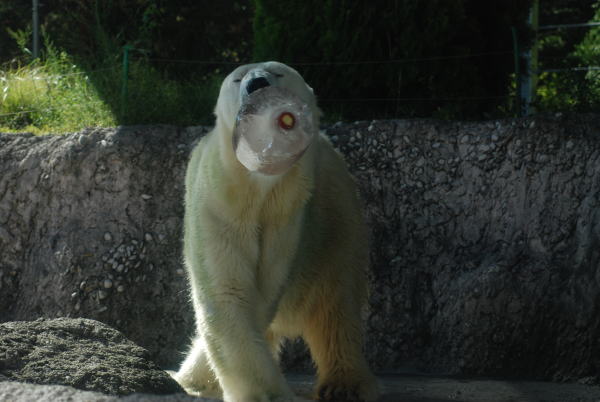 20110924baly5.jpg