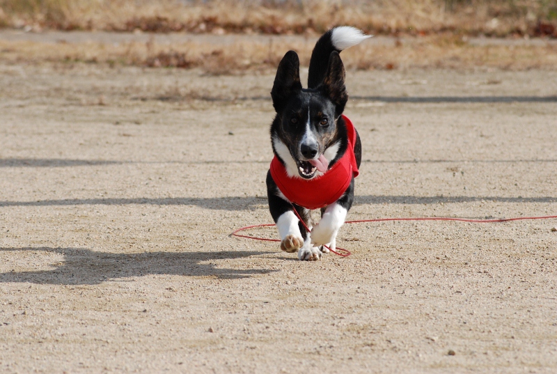 2012.12.02.07.jpg