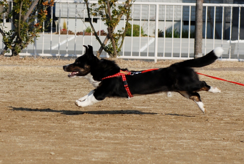 2013.01.12.04.jpg