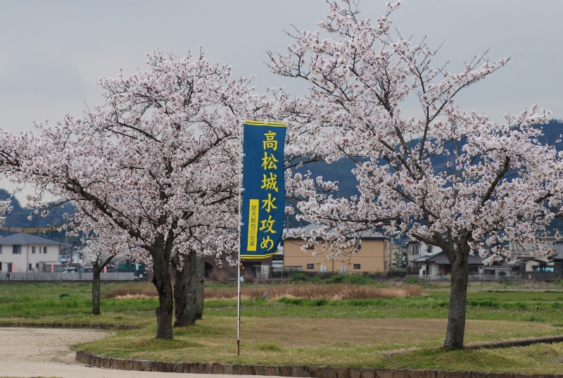 2014.04.05.02.jpg