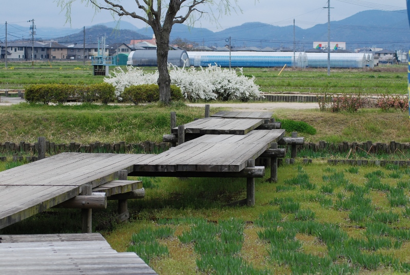 2014.04.05.05.jpg