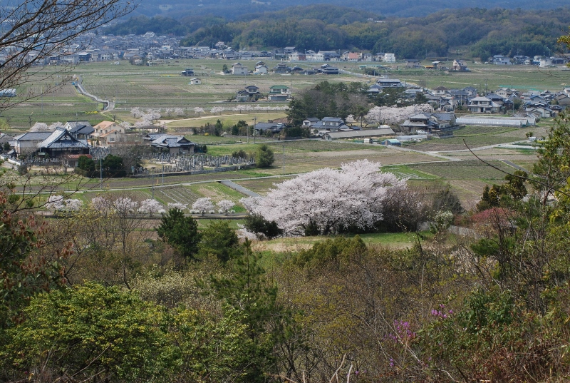 2014.04.05.07.jpg