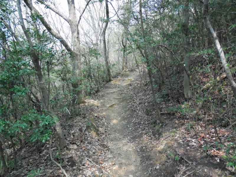 2014.04.05.10.jpg